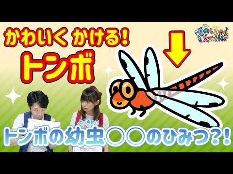 トンボのえかきうた / トンボのこどもは どこにすむ？