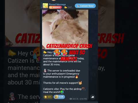 Catizen airdrop  crush 🥵🥵 || how much cati do you have comment and win ton #cryptocat #airdrop