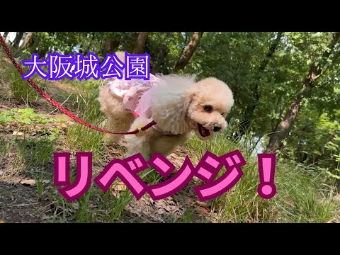 リベンジ！【大阪城公園】