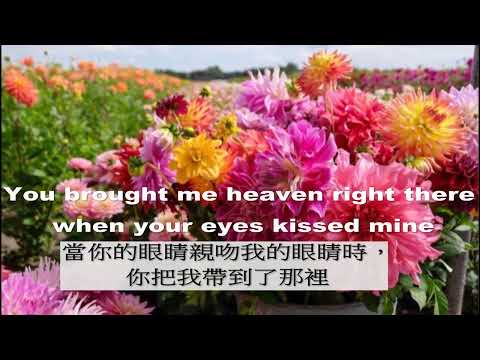 世界各地民謠 (法國) Plaisir D'Amour 愛的喜悅  (Joan Baez演唱 )