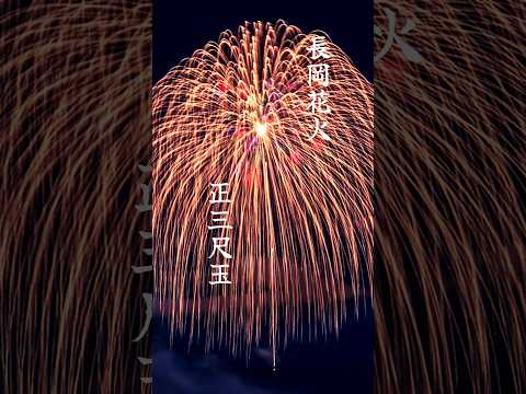 長岡花火。「正三尺玉コレクション」新潟県長岡市 #shorts #花火大会 #fireworks