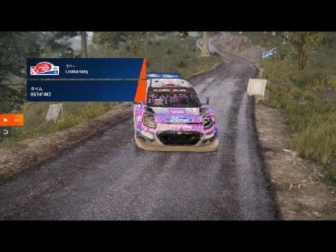 WRC Generations – The FIA WRC Official Game_20241218073334