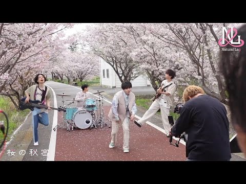 Natural Lag / 桜の秘密 Music Video Making