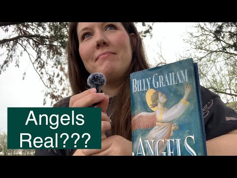 Are Angels Real & Walking Among Us | Solar Bird Feeder