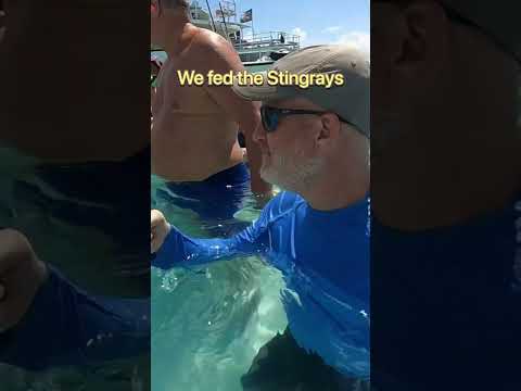 Stingray City - Enjoy the BEAUTIFUL water while swimming with Stingrays! (Maybe sneak in a kiss)