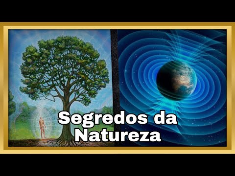 Como entrar em harmonia com o fluxo da Natureza?