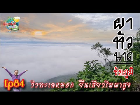 ตามล่าหมอกผาหัวนาค EP84 #กางเต็นท์ ผาหัวนาค อุทยานแห่งชาติภูแลนคา มอหินขาว จ.ชัยภูมิ | #เที่ยวทั้งปี