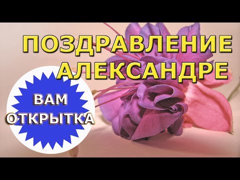 Поздравление Александре