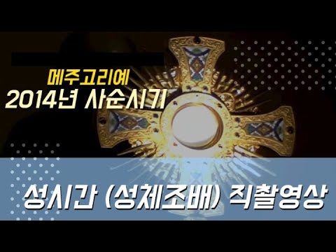 #메주고리예 2014년 사순시기 성시간 직촬영상 (묵상하고 기도하기 좋은 영상)