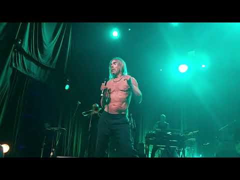 I'm sick of you- Iggy Pop @JazzMiddelheimFestival 13 augustus 2022