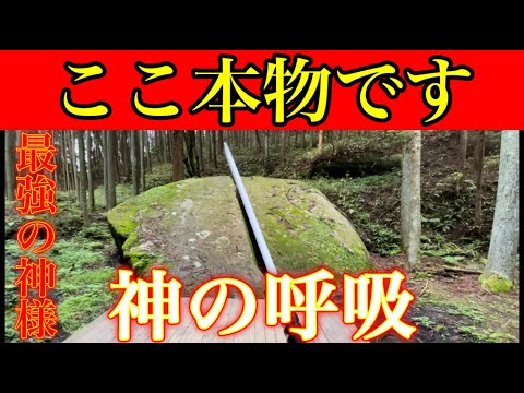 ⚠️ヤバい神社に出会いました⚠️巨岩に囲まれた聖地※奈良最強パワースポット『天乃石立神社』