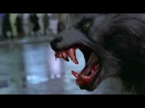 Rick Baker's effects on An American Werewolf In London