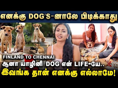 இவங்க எல்லாருக்குமே Cancer இருக்கு...! - Dogs Angel Susheela Interview