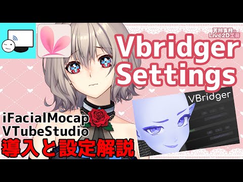 【Live2D Vbridger VTubeStudio】VbridgerをVTubeStudioで動かすための手順　Steps to run Vbridger in VTubeStudio