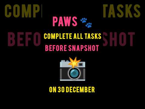 PAWS updates | 30 December Paws snapshot | PAWS 🐾 snapshot | Mystery quest #paws #dogs #games