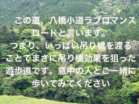 【静岡県】この道、八橋小道ラブロマンスロードと言います。つまり、吊り橋効果を狙った遊歩道です。意中の人とご一緒に歩いてみてください【shizuoka】