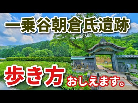 【一乗谷朝倉氏遺跡】現役ツアコン目線で歩く！一乗谷朝倉氏遺跡