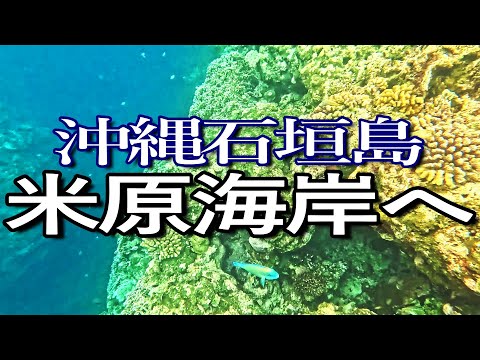 石垣島ゆる旅３日目（中編その２）米原海岸でシュノーケリング満喫