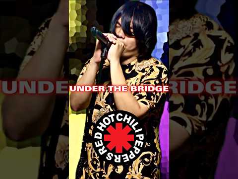 Under The Bridge - Red Hot Chili Peppers - Cover by Dr. X #shorts #redhotchilipeppers #rhcp