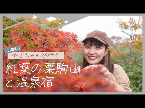 【山案内】やぎちゃんが行く！　紅葉の栗駒山と温泉宿