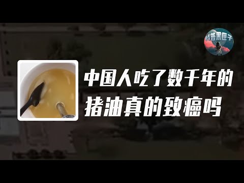 豬油真的致癌嗎？中國人吃了數千年，到了專家嘴裡就是有害食物？