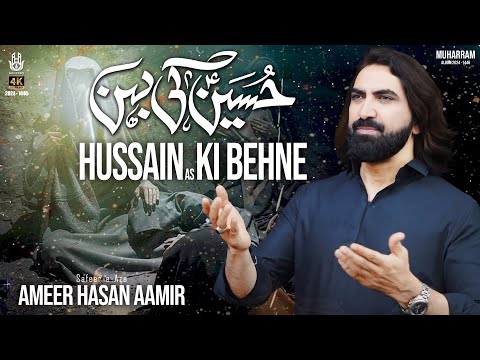 Hussain Ki Behne | Ameer Hasan Aamir | Noha 2024/1446