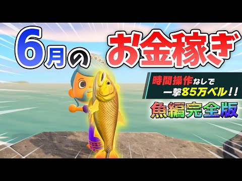 【あつ森】6月のお金の稼ぎ方！時間操作なしで効率よく離島1往復80万ベルを稼ぐ最強の方法！サメやドラド、ピラルクを乱獲するための金策法解説【あつまれどうぶつの森　6月お金の稼ぎ方　魚編】