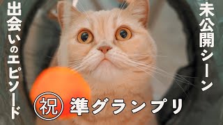 推し猫準グランプリ記念！ととろとの出会いエピソード