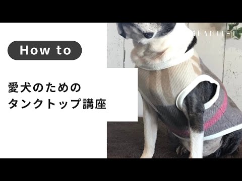 【ペット手芸】洋裁の基礎から学ぶ「愛犬のためのタンクトップ」講座 | fally's