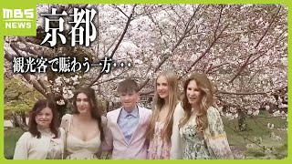 満開「桜が一番の目的」京都に多くの外国人観光客…一方で心穏やかではない地元の人も？「並ばないとご飯が食べられないとか…」（2024年4月4日）