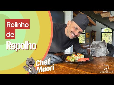 Rolinho de Repolho com Carne 🐾