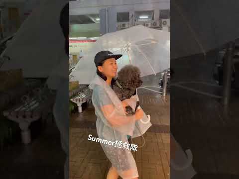 突然間落勁大雨呀Summer 拯救我兩仔爺￼￼