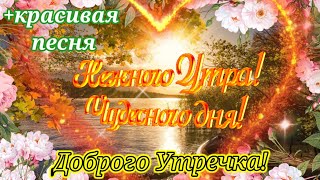 С Добрым Утром! Песня за душу берёт, только послушайте! Заряд энергии на весь день !