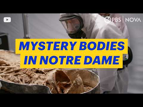 Mystery Bodies Buried Under Notre Dame | NOVA | PBS