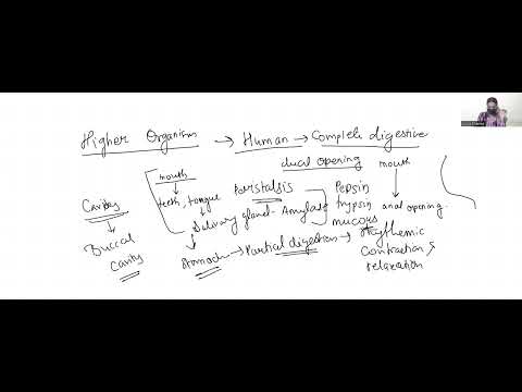 What is a Digestive system | Human complete digestive system | #biology #digestivesystem #boardexam