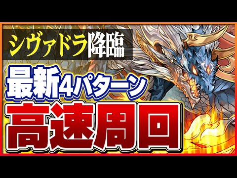 【シヴァドラ降臨】スキルループで快適周回！今年活躍したキャラ4パターン編成【パズドラ】