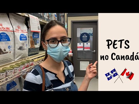 Lojas de Pets no Canadá - Pet shop no Canadá. Dollarama, Costco, Mondou e mais!