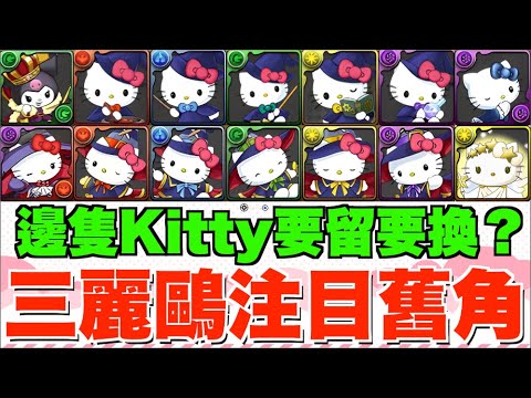 【SANRIO合作】注目有用舊角推介!! 一隻大魔女Kitty優先換、回窩快刷經驗值必用角、最舊5星角武裝超強化【パズドラPAD】