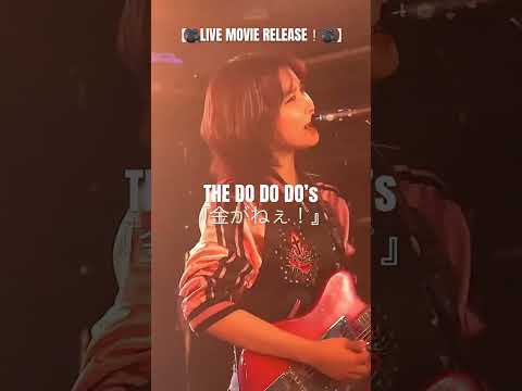 THE DO DO DO‘s『金がねぇ！』LIVE Short Video #thedododos #インディーズバンド #邦ロック #金がねぇ！ #japaneserock #rocknroll