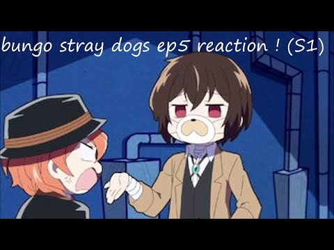 DEMONIC GRANNY YELLING~bungo stray dogs WAN!! ep5 reaction ! (S1) ft. a crusty hoe