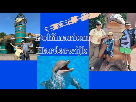 Dolfinarium Harderwijk | A dream come true with my grandsons |