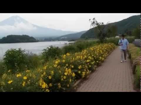 2012富士山河口湖花街道(2)-溫帶國家之夏