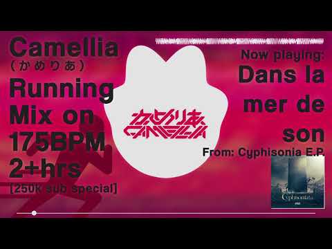 Camellia(かめりあ) 2hrs+ 175BPM mix [250ksub special]