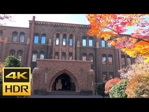 [4K HDR] 紅葉の北海道大学を散策-札幌 / Strolling around Hokkaido University in the autumn leaves (Hokkaido,Japan)