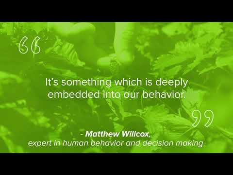 Matthew Willcox on Decision Making – Audio Insights from MindTools.com