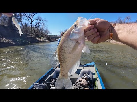 Spawning CREEK Crappie Fishing (Catch Clean Freeze?)