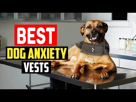 ✅Top 5 Best Dog Anxiety Vests of 2023