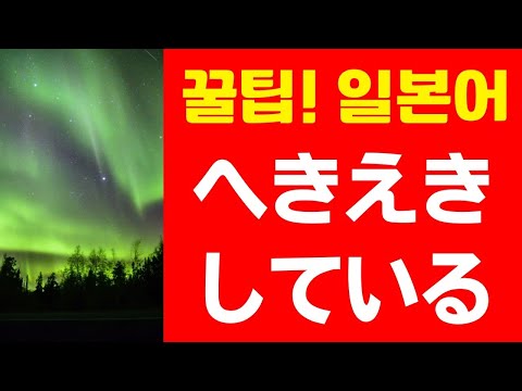 辟易している (꿀팁! 일본어 표현) 日本人が教える日本語