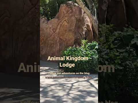 Disney's Animal Kingdom Lodge #travel #disney