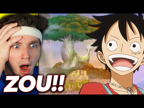 ARRIVAL AT ZOU!! (one piece reaction)